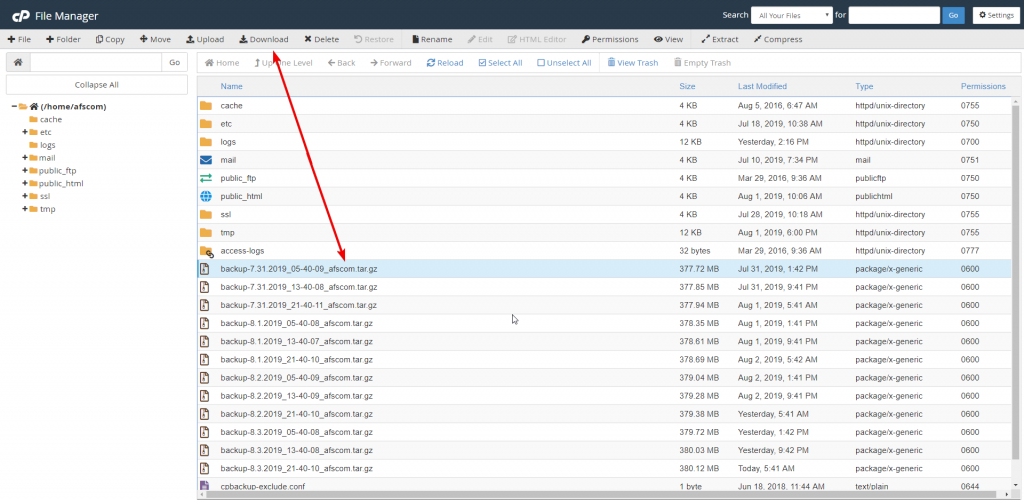 Download a cPanel full backup